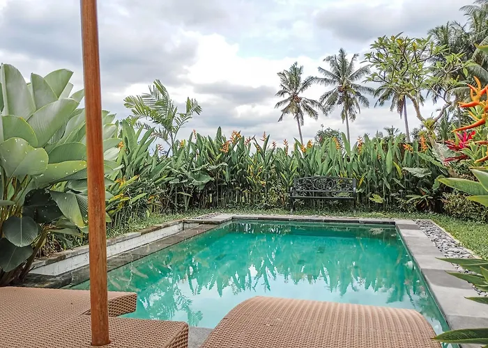 Nyoman Sandat House 2 Bed & Breakfast *
